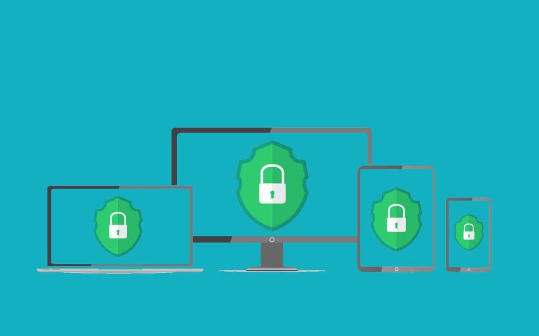 How relevant and important is the Cyber Essentials scheme for your business?